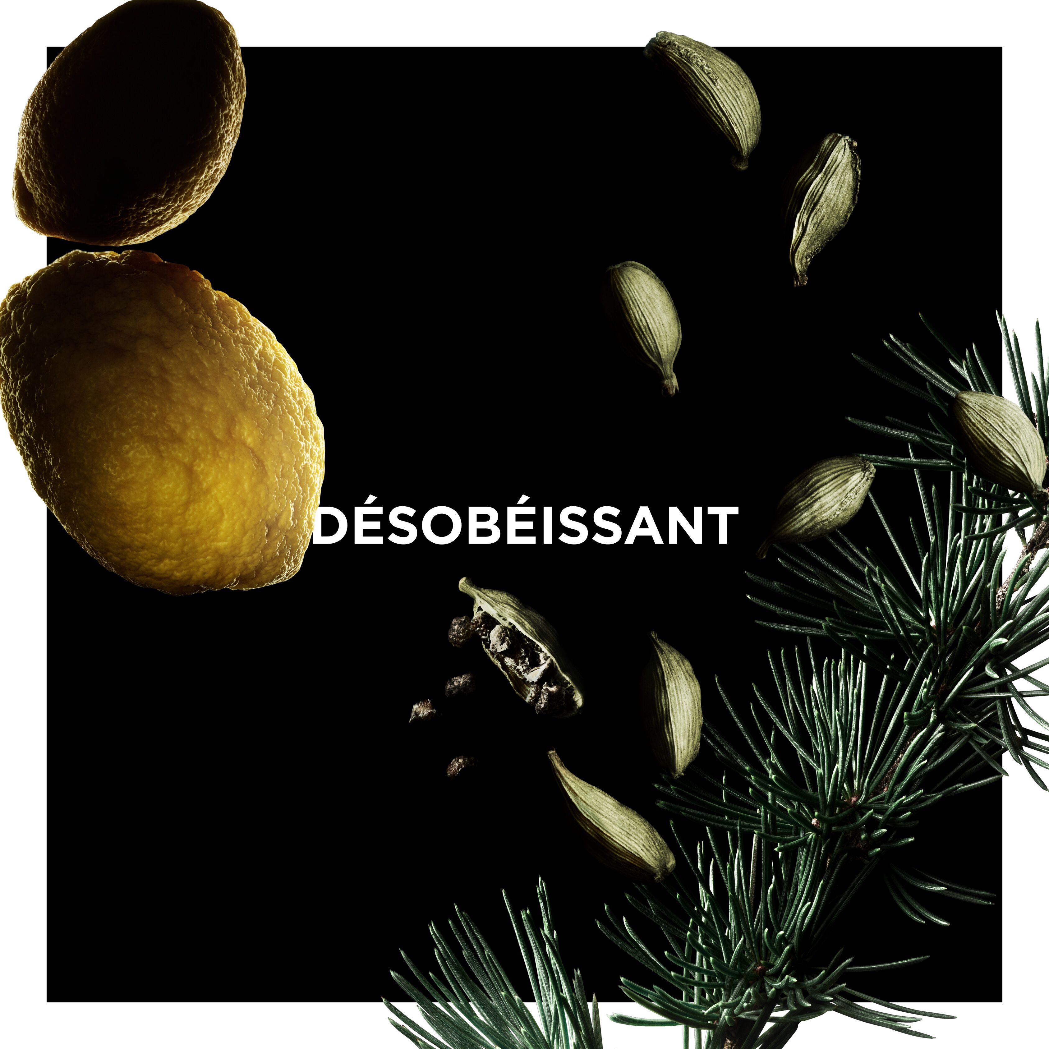 ド ジバンシイ デゾベイサン - オーデパルファム | Givenchy Beauty